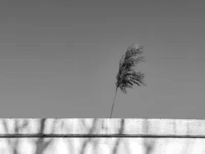 Casino Classy Slots Mobiele App